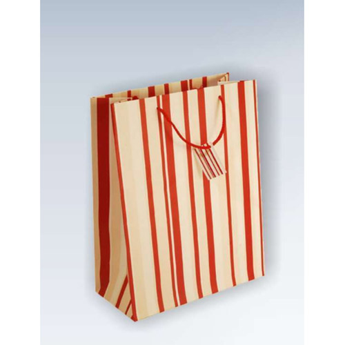 HDPE Woven Laminated Bag